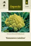 KUKKAKAALI ROMANESCO NATALINO - Kaalin siemenet - 7332756291856 - 1