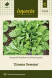 LEHTIMANGOLDI GROENE GEWONE - Muut vihannesten siemenet - 7332756293546 - 1