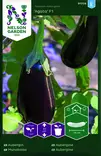 MUNAKOISO AGATA F1 - Muut vihannesten siemenet - 7312600917286 - 1