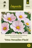 PUNAKOSMOSKUKKA TETRA VERSAILLES FLUSH - Muut kesäkukkien siemenet - 7332756292426 - 1
