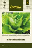 SIDESALAATTI BLONDE MARAICHÉRE - Salaatin siemenet - 7332756255216 - 1