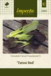 TATSOIKAALI TATSOI RED - Muut vihannesten siemenet - 7332756295816 - 1