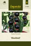 TOMAATTI BLACKBALL - Tomaatin siemenet - 7332756270806 - 1