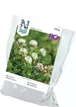 VALKOAPILA WHITE CLOVER 250 G - Nurmikon siemenet - 7312600611566 - 1