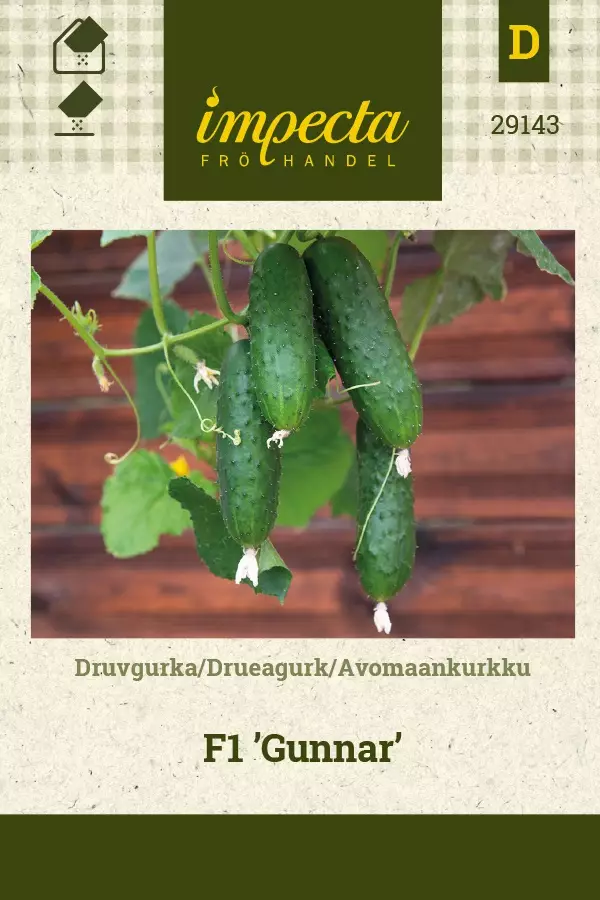 AVOMAANKURKKU GUNNAR - Kurkun siemenet - 7332756291436 - 1