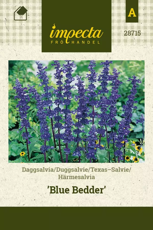 HÄRMESALVIA BLUE BEDDER - Muut kesäkukkien siemenet - 7332756287156 - 1