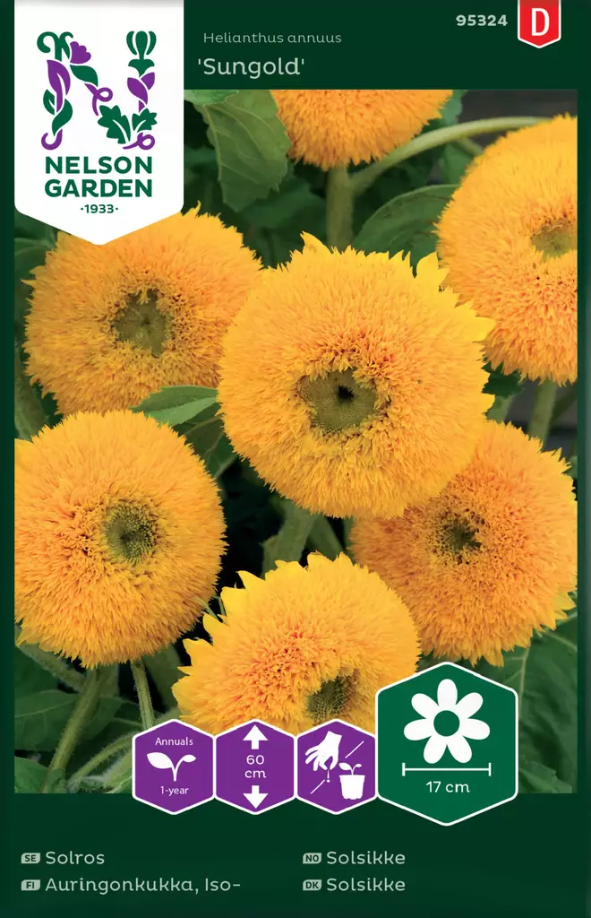 ISOAURINGONKUKKA SUNGOLD - Auringonkukan siemenet - 7312600953246 - 2