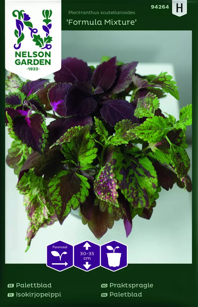 ISOKIRJOPEIPPI FORMULA MIXTURE - Muut kesäkukkien siemenet - 7312600942646 - 1