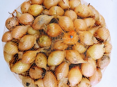 ISTUKASSIPULI STURON 1 KG - Istukassipulit - 6415152970226 - 1