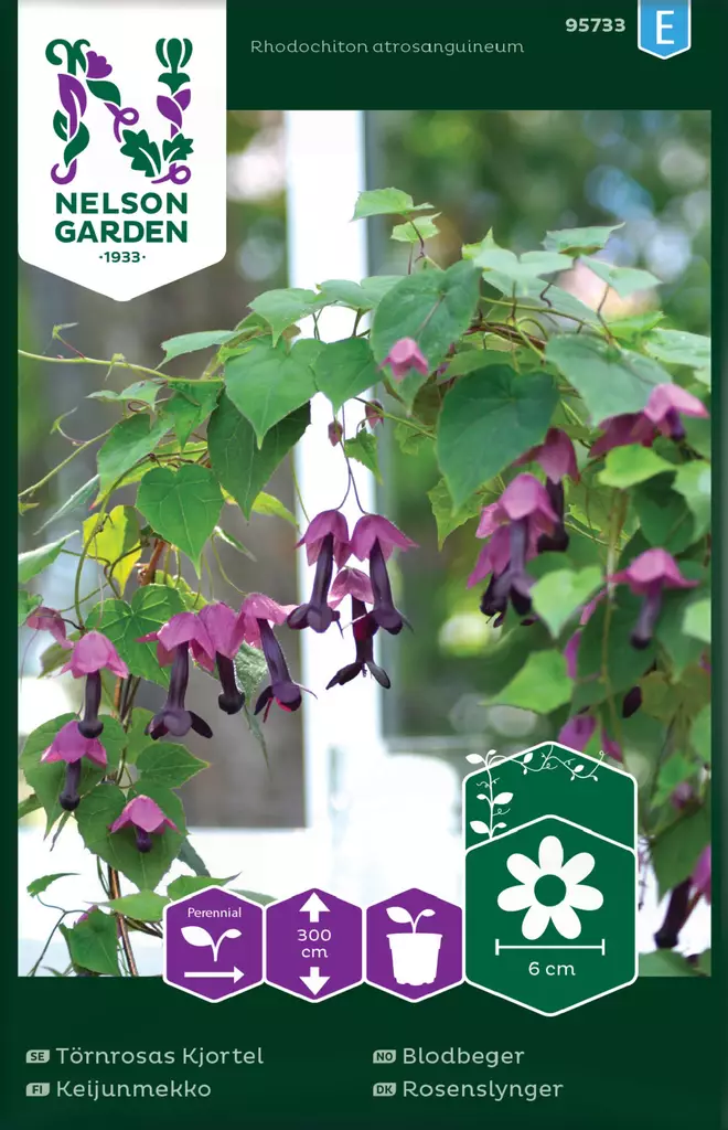 KEIJUNMEKKO - Muut kesäkukkien siemenet - 7312600957336 - 2