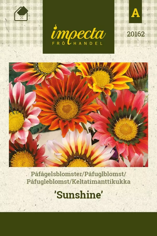 KELTATIMANTTIKUKKA SUNSHINE - Muut kesäkukkien siemenet - 7332756201626 - 1