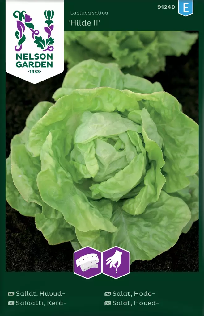 KERÄSALAATTI HILDE II, KYLVÖNAUHA - Salaatin siemenet - 7312600912496 - 3