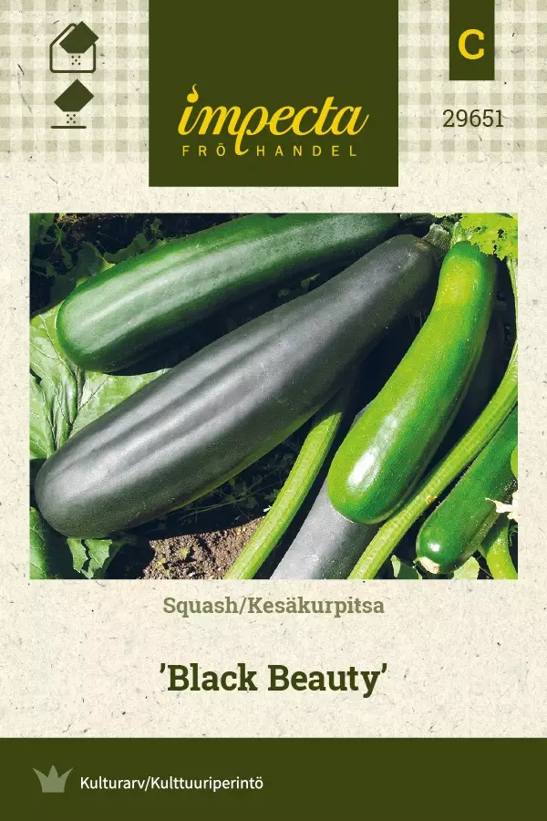 KESÄKURPITSA BLACK BEAUTY - Kurpitsan siemenet - 7332756296516 - 1