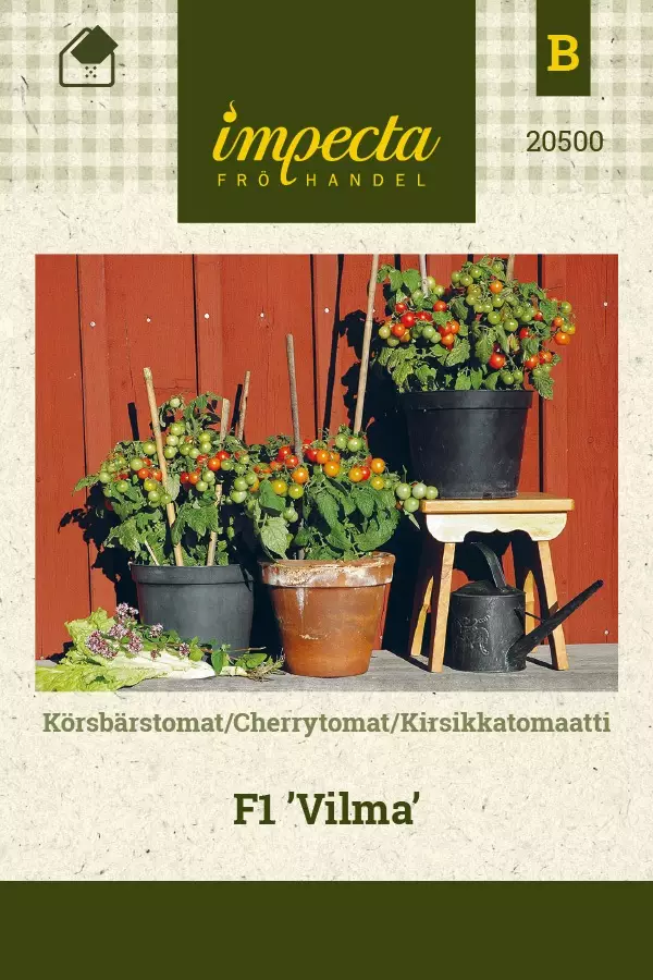 KIRSIKKATOMAATTI VILMA F1 - Tomaatin siemenet - 7332756205006 - 1