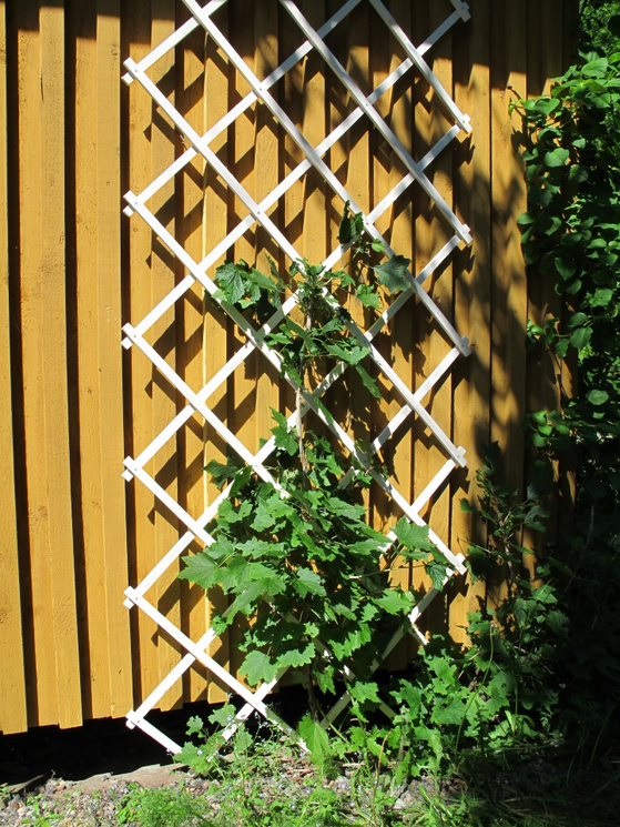 KÖYNNÖSSÄLEIKKÖ 0,9 x 2 M VALKOINEN - Tuenta- ja sidontatarvikkeet - 6430040621776 - 1