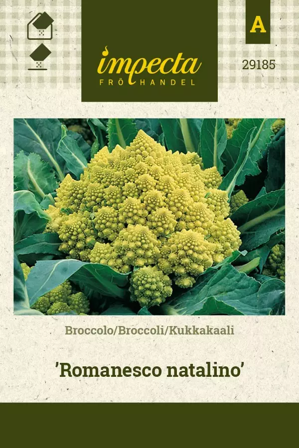 KUKKAKAALI ROMANESCO NATALINO - Kaalin siemenet - 7332756291856 - 1