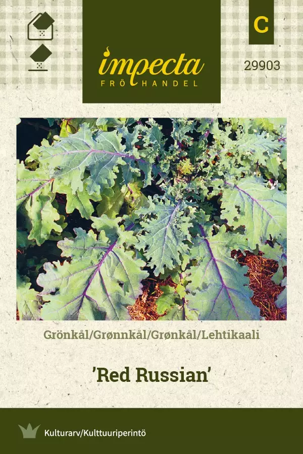 LEHTIKAALI RED RUSSIAN - Kaalin siemenet - 7332756299036 - 1
