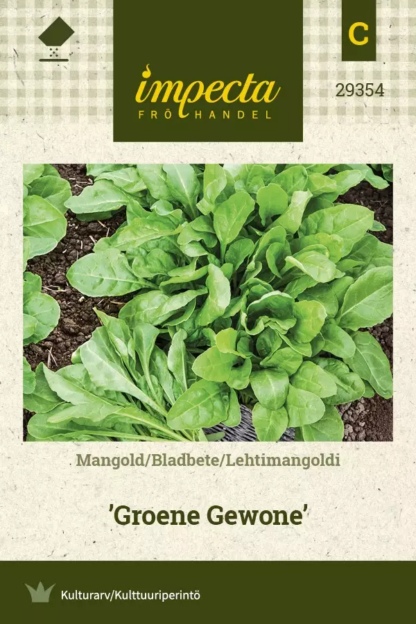 LEHTIMANGOLDI GROENE GEWONE - Muut vihannesten siemenet - 7332756293546 - 1