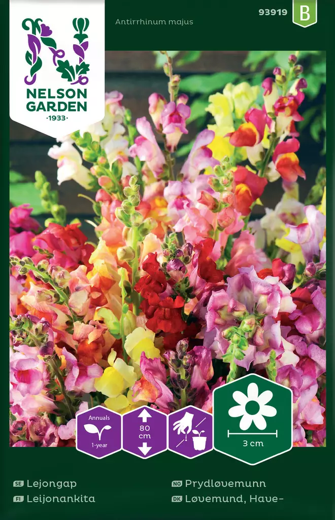 LEIJONANKITA, SEOS - Muut kesäkukkien siemenet - 7312600939196 - 2