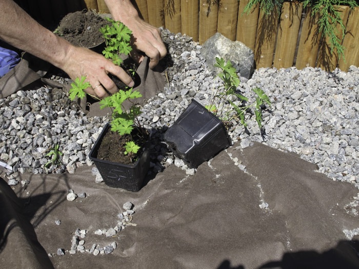 MAISEMOINTIKANGAS 8 m2 - Kankaat, harsot ja verkot - 6430040621516 - 1