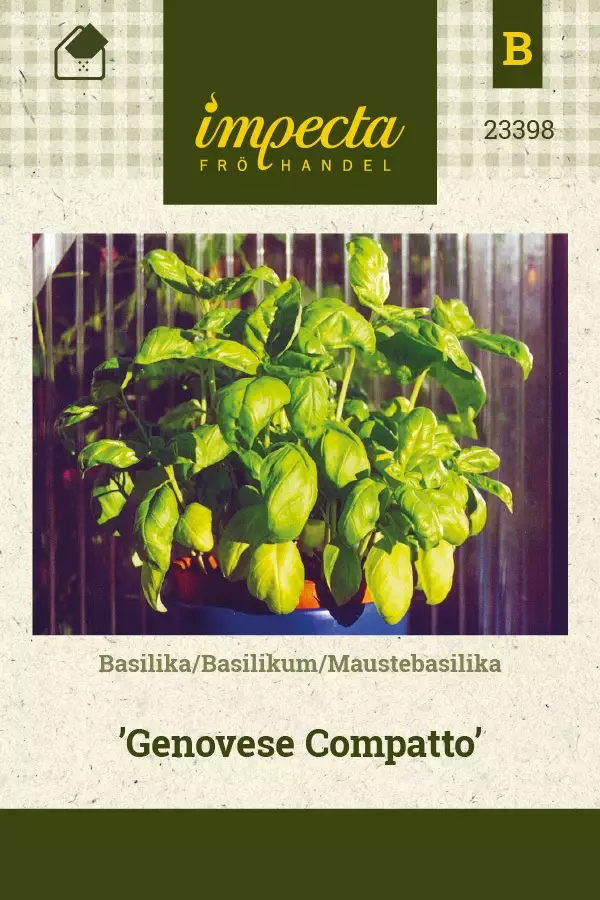 MAUSTEBASILIKA GENOVESE COMPATTO - Basilikan siemenet - 7332756233986 - 1