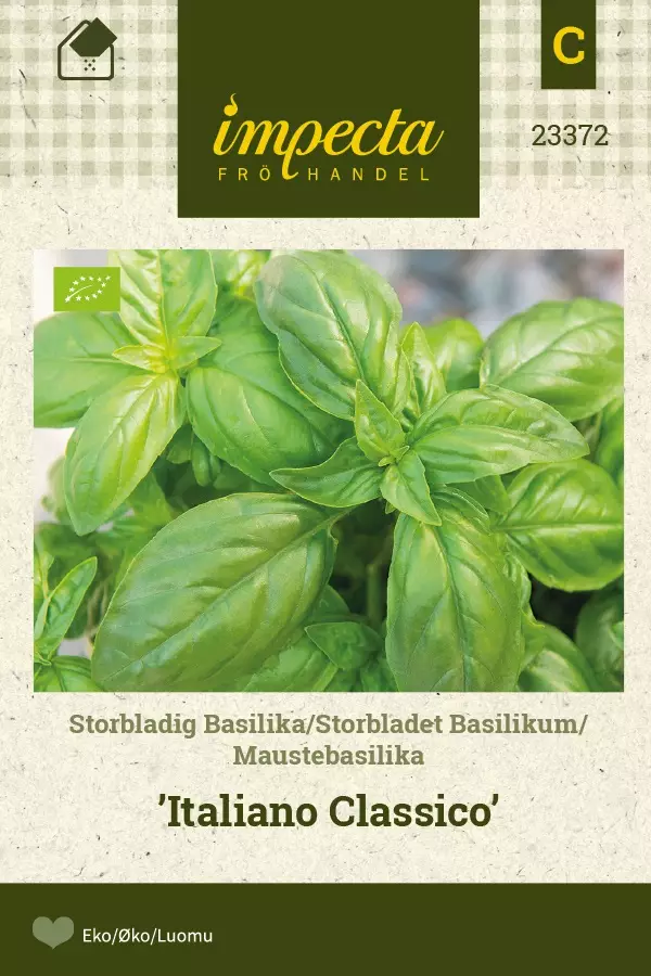 MAUSTEBASILIKA ITALIANO CLASSICO - Basilikan siemenet - 7332756233726 - 1