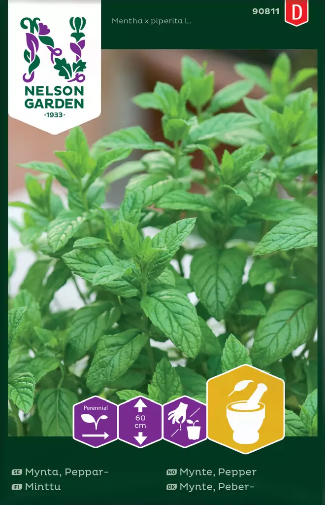 MINTTU - Muut yrttien siemenet - 7312600908116 - 2