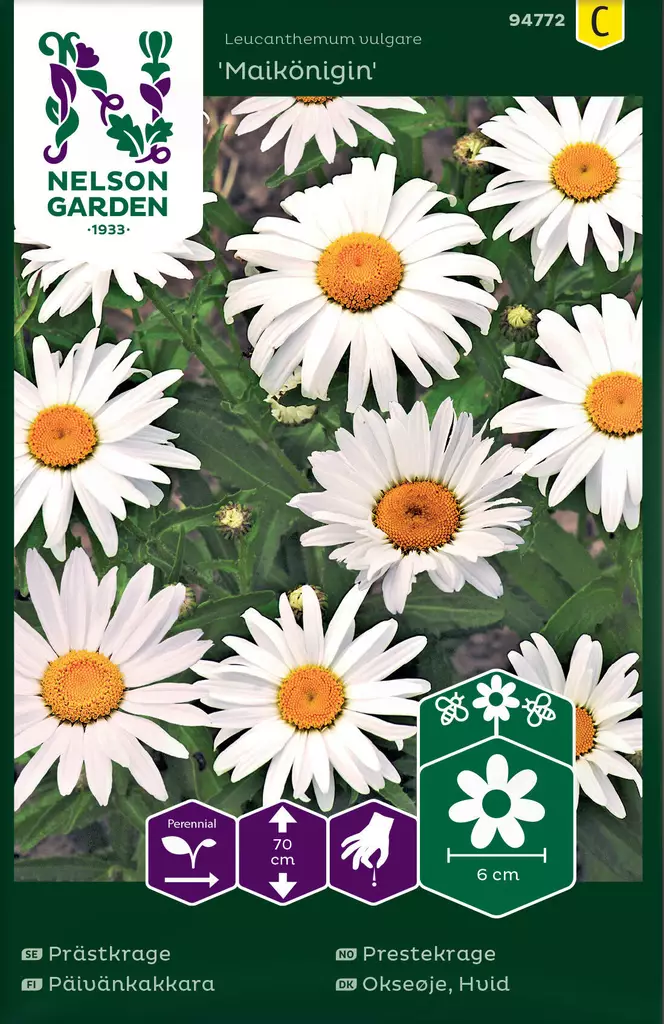PÄIVÄNKAKKARA MAIKÖNIGIN - Perennojen siemenet - 7312600947726 - 2