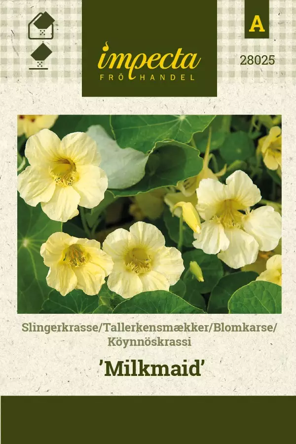 PENSASKÖYNNÖSKRASSI MILKMAID - Krassin siemenet - 7332756280256 - 1