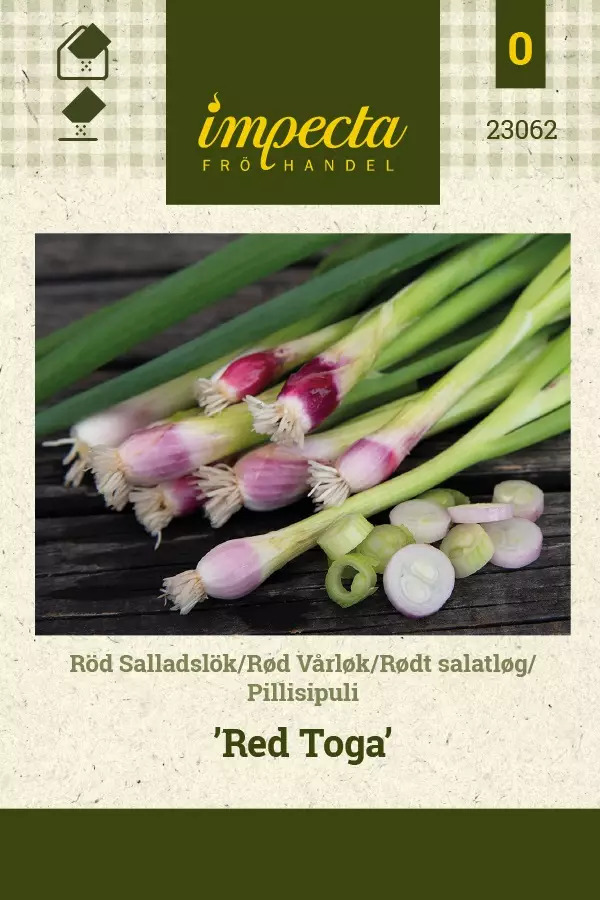 PILLISIPULI RED TOGA - Muut vihannesten siemenet - 7332756230626 - 1