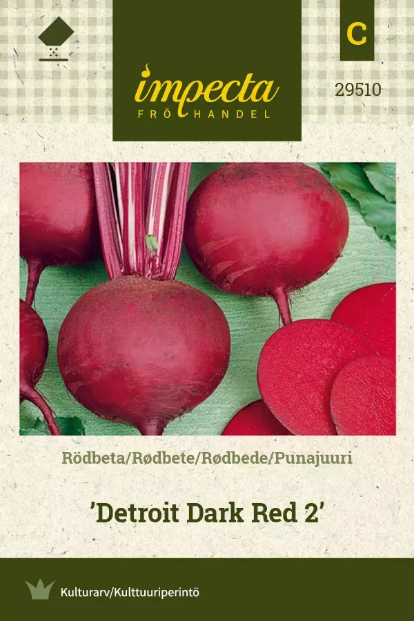 PUNAJUURI DETROIT DARK RED 2 - Punajuuren siemenet - 7332756295106 - 1
