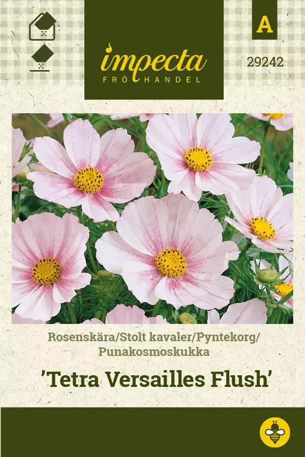 PUNAKOSMOSKUKKA TETRA VERSAILLES FLUSH - Muut kesäkukkien siemenet - 7332756292426 - 1