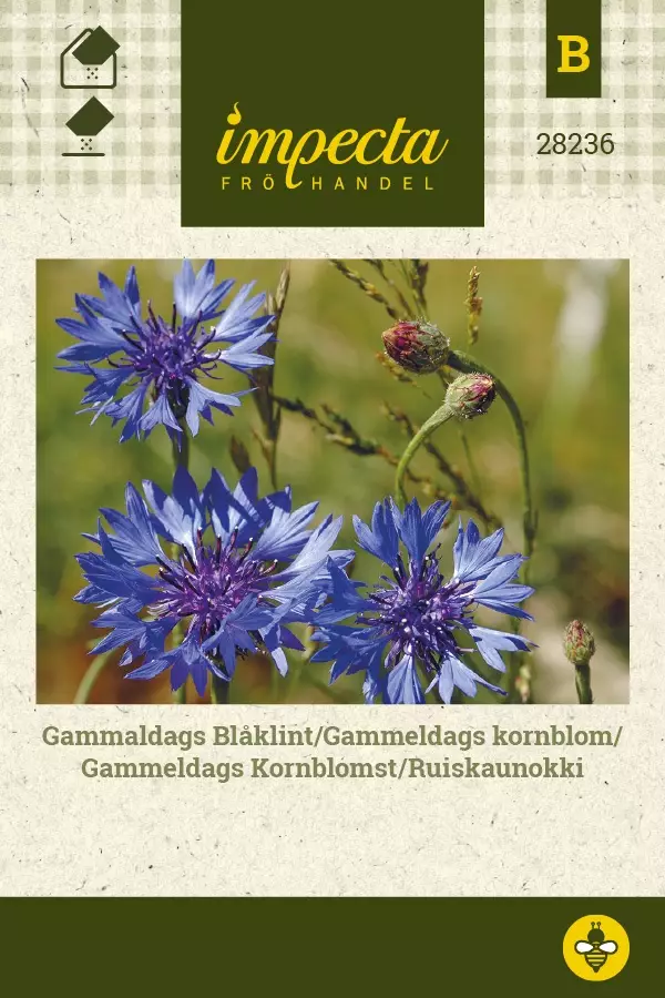 RUISKAUNOKKI - Muut kesäkukkien siemenet - 7332756282366 - 1