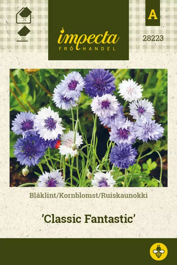 RUISKAUNOKKI CLASSIC FANTASTIC - Muut kesäkukkien siemenet - 7332756282236 - 1
