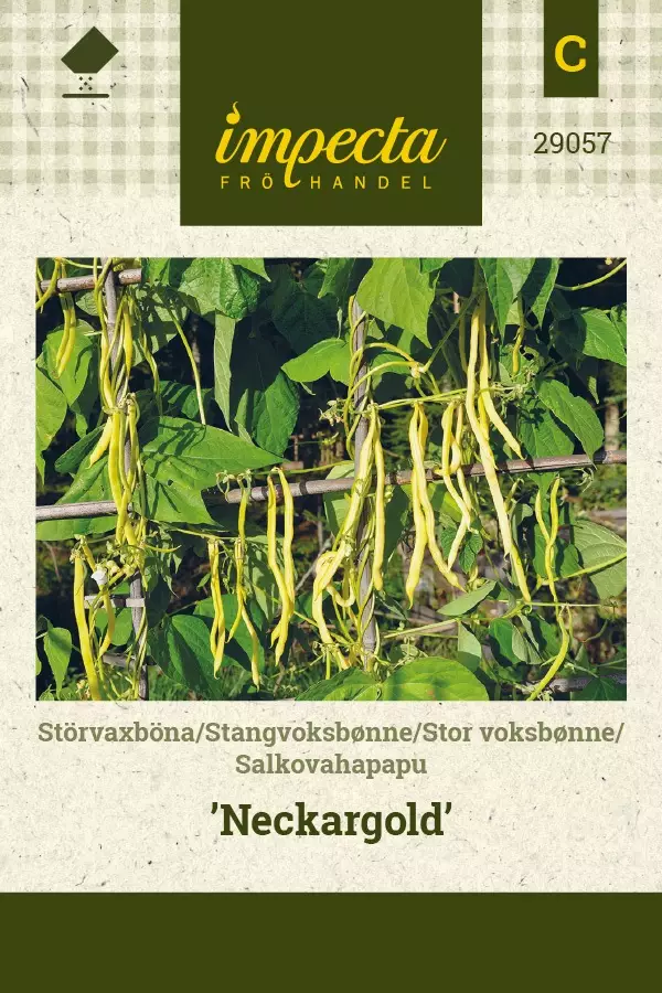 SALKOVAHAPAPU NECKARGOLD - Pavun siemenet - 7332756290576 - 1