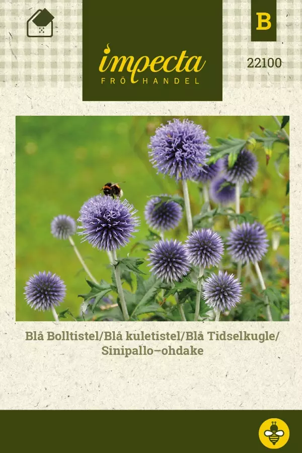 SINIPALLO-OHDAKE - Muut kesäkukkien siemenet - 7332756221006 - 1