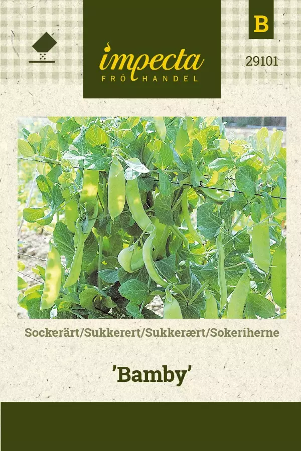 SOKERIHERNE BAMBY - Herneen siemenet - 7332756291016 - 1