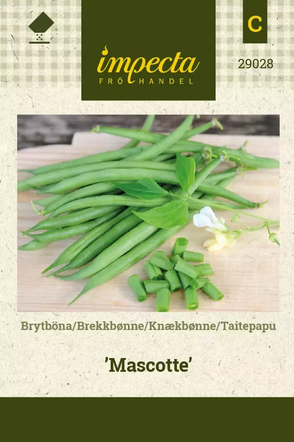 TAITEPAPU MASCOTTE - Pavun siemenet - 7332756290286 - 1