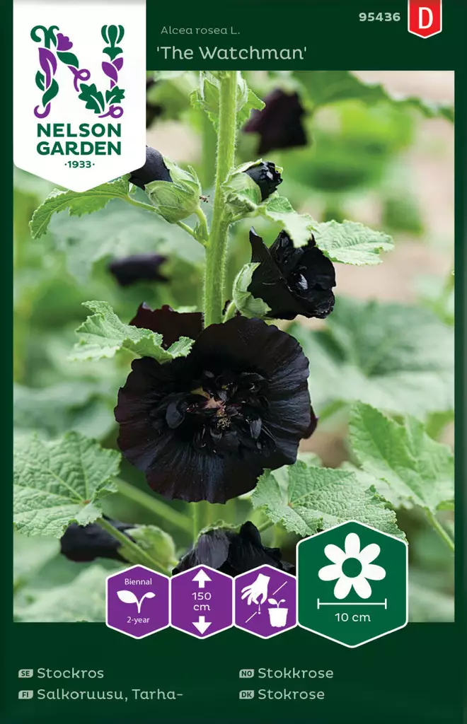TARHASALKORUUSU THE WATCHMAN - Muut kesäkukkien siemenet - 7312600954366 - 1