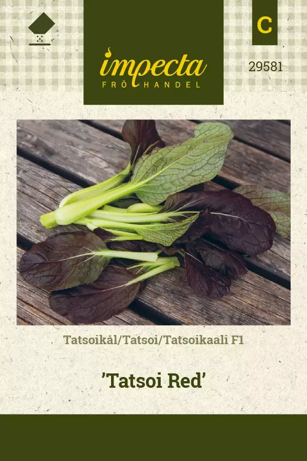 TATSOIKAALI TATSOI RED - Muut vihannesten siemenet - 7332756295816 - 1