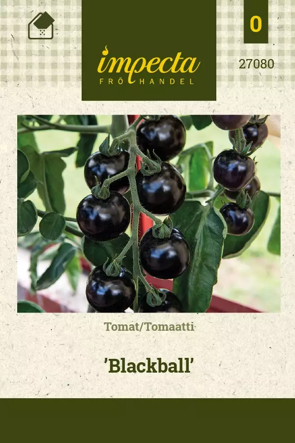 TOMAATTI BLACKBALL - Tomaatin siemenet - 7332756270806 - 1