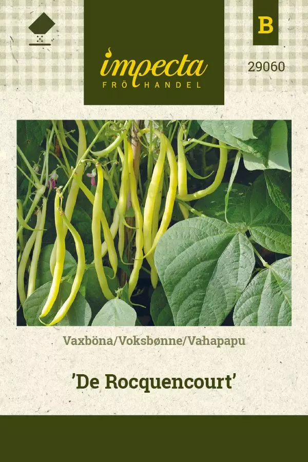 VAHAPAPU DE ROCQUENCOURT - Pavun siemenet - 7332756290606 - 1