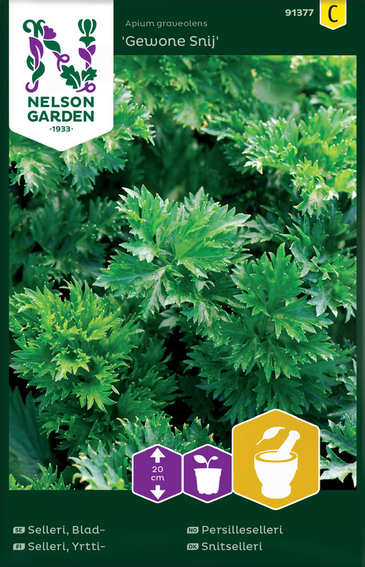 YRTTISELLERI GEWONE SNIJ - Muut yrttien siemenet - 7312600913776 - 1