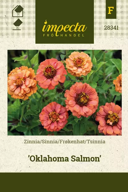 ISOTSINNIA OKLAHOMA SALMON - Tsinnian siemenet - 7332756283417 - 1