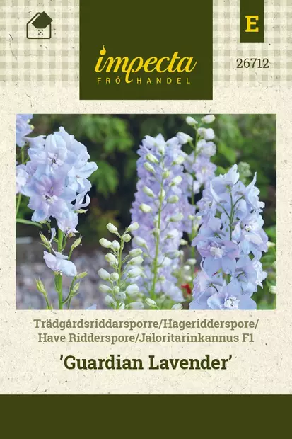 JALORITARINKANNUS GUARDIAN LAVENDER - Perennojen siemenet - 7332756267127 - 1
