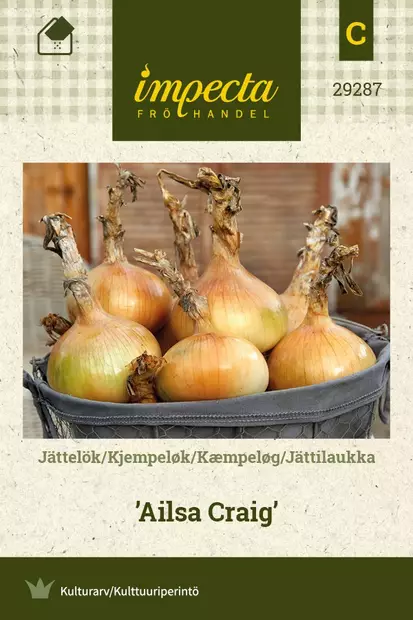 JÄTTILAUKKA AILSA CRAIG - Muut vihannesten siemenet - 7332756292877 - 1