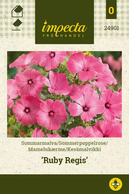 KESÄMALVIKKI RUBY REGIS - Muut kesäkukkien siemenet - 7332756249017 - 1