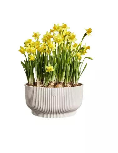 KULHO VIBES FOLD 25 CM PELLAVANVALKOINEN - Muoviruukut - 8711904545017 - 1