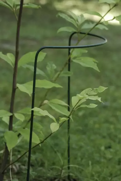 PERENNATUKI 70 CM - Tuenta- ja sidontatarvikkeet - 6430040621387 - 1