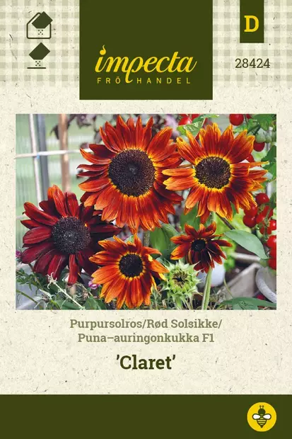 PUNA-AURINGONKUKKA CLARET - Auringonkukan siemenet - 7332756284247 - 1